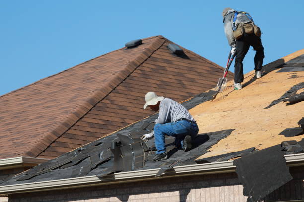 Best Green or Eco-Friendly Roofing Solutions  in Manila, AR